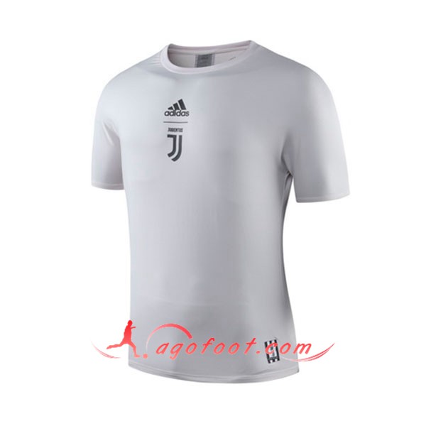 Training T-Shirts Juventus Gris 19/20
