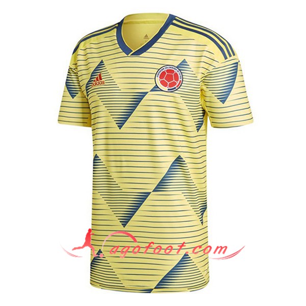 Maillot Equipe De Colombie Domicile Floqué 2019 2020