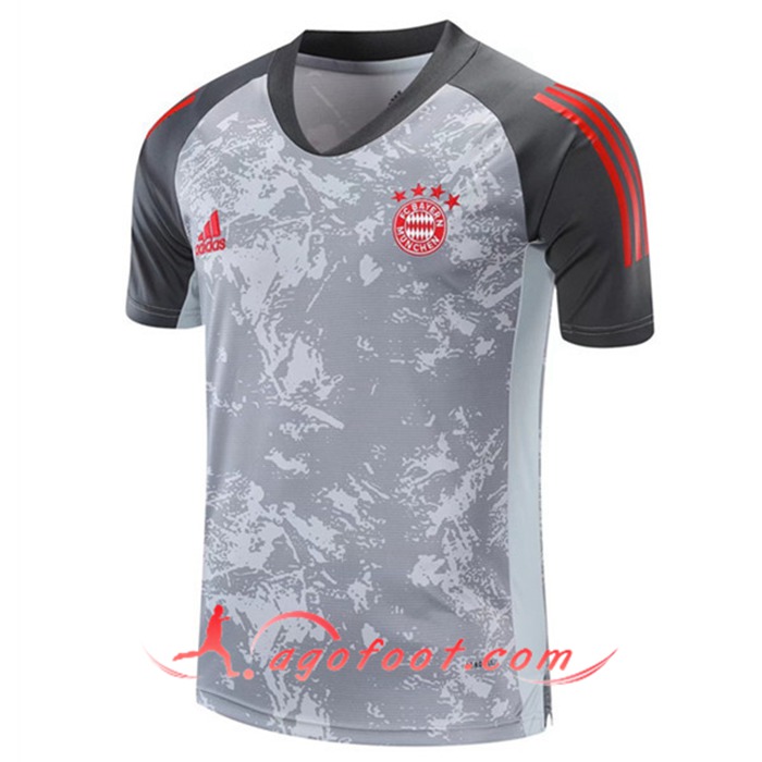 Training T-Shirts Bayern Munich Grise 2020/2021