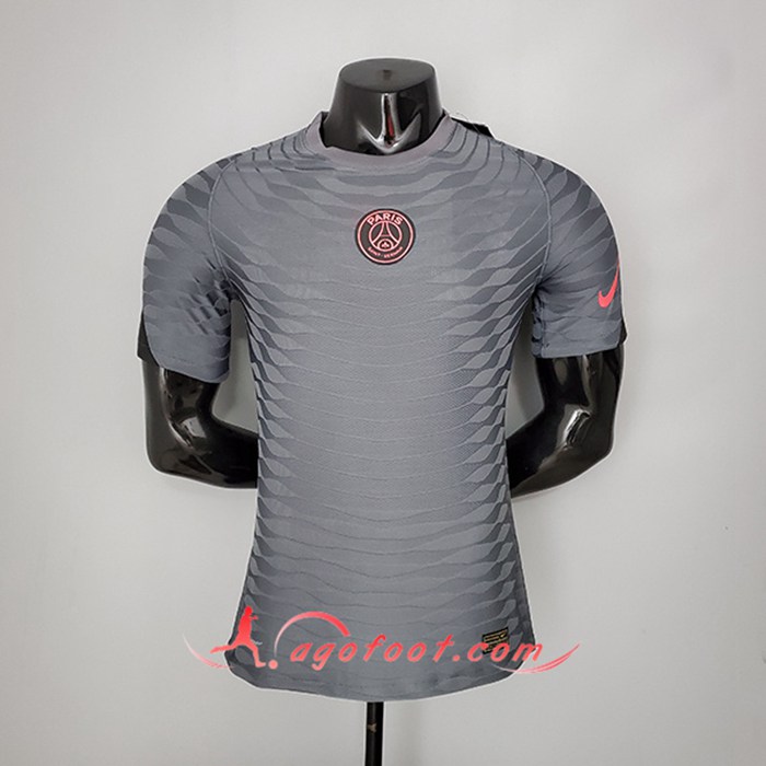 Training T-Shirts Jordan PSG Player Version Gris 2021/2022