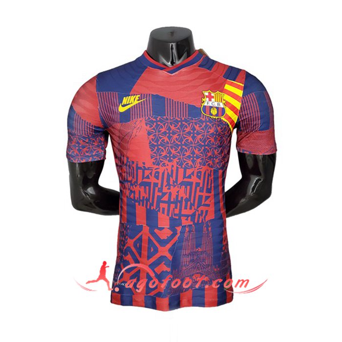 Promo Maillot de Foot FC Barcelone Special Edition 2023/2024 02
