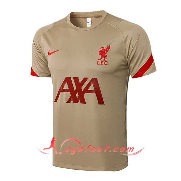 Training T-Shirts FC Liverpool Brun 2021/2022