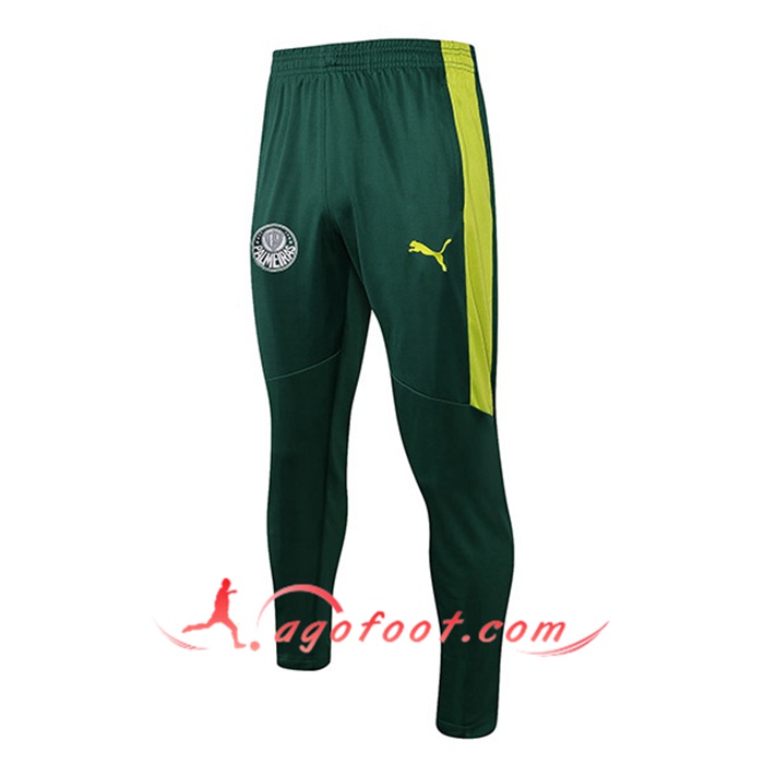 Training Pantalon Foot Palmeiras Vert 2021/2022
