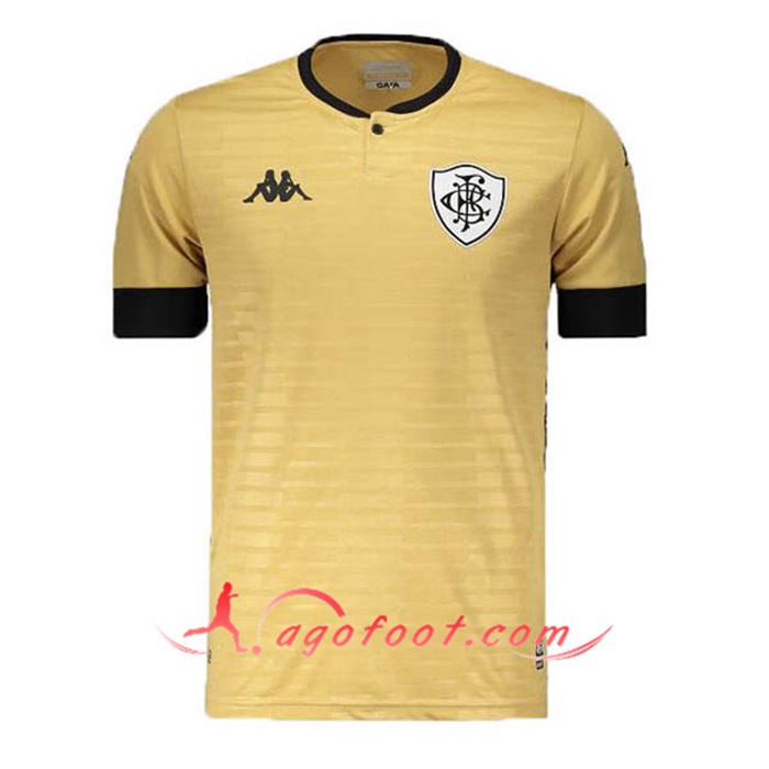 Maillot de Foot Botafogo Gardien de But Jaune 2021/2022