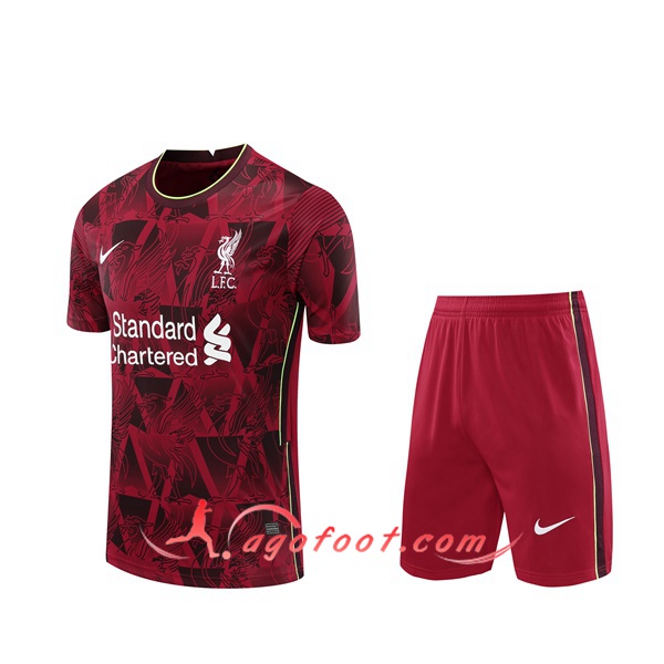 Ensemble Training T-Shirts FC Liverpool + Shorts Rouge/Blanc 20/21