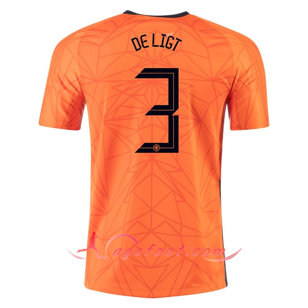 Maillot Equipe Foot Pays-Bas (DE LIGT 3) Domicile 20/21