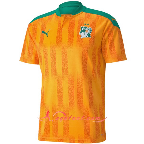 Maillot Equipe De Cote d'Ivoire Domicile Personnalisé Floqué 20/21