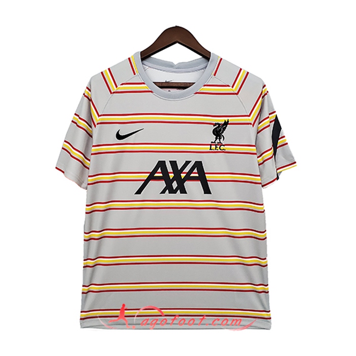 Training T-Shirts FC Liverpool Gris/Rouge 2021/2022