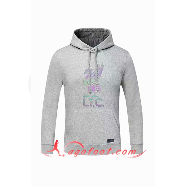 Nouveau Training Sweatshirt Capuche FC Liverpool Gris 20/21