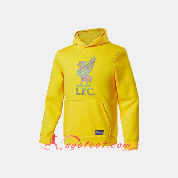 Nouveau Training Sweatshirt Capuche FC Liverpool Jaune 20/21