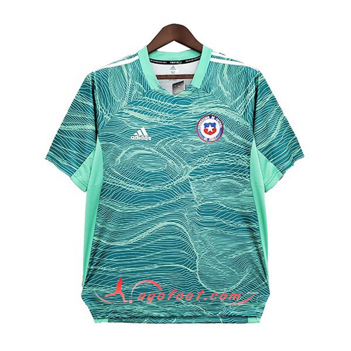Maillot de Foot Colo-Colo Gardien De But Vert 2021/2022