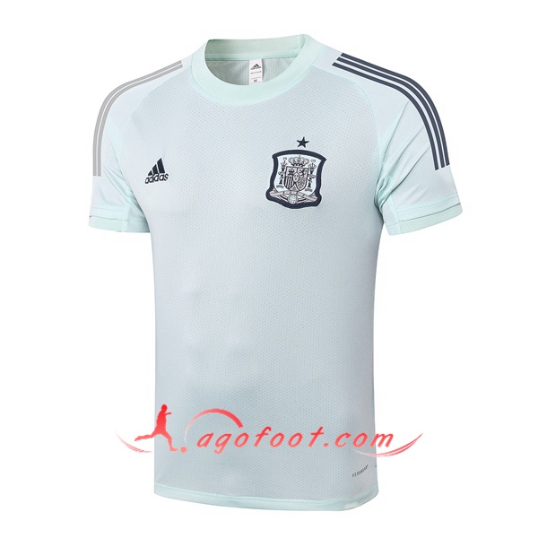 Training T-Shirts Espagne Vert 20/21