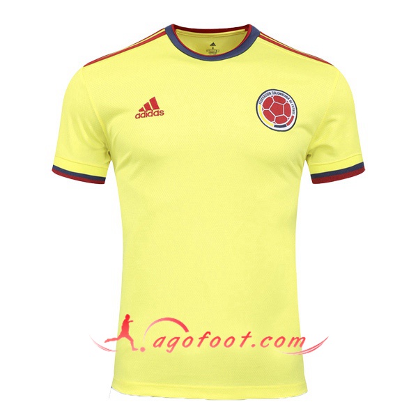 Maillot Equipe De Colombie Domicile Personnalisé Floqué 20/21