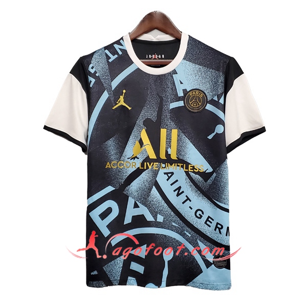 Training T-Shirts Paris PSG Jordan Gris 20/21