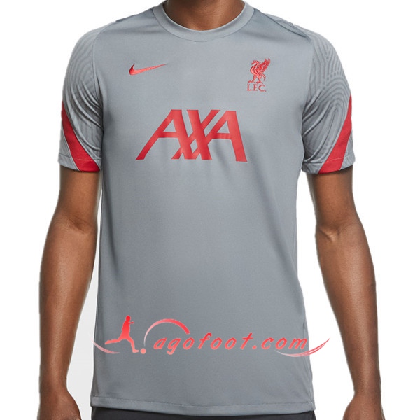 Training T-Shirts FC Liverpool Gris 20/21