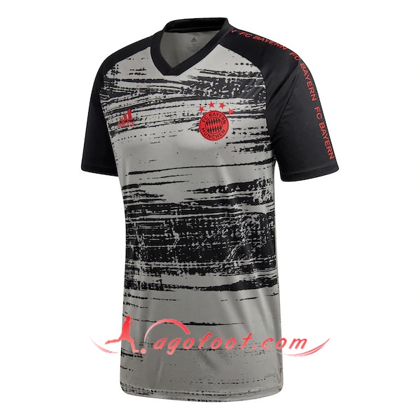 Training T-Shirts Bayern Munich Gris 20/21