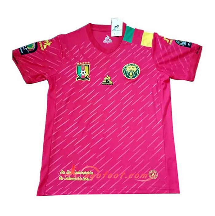Maillot Equipe Foot Cameroun Third 2021/2022