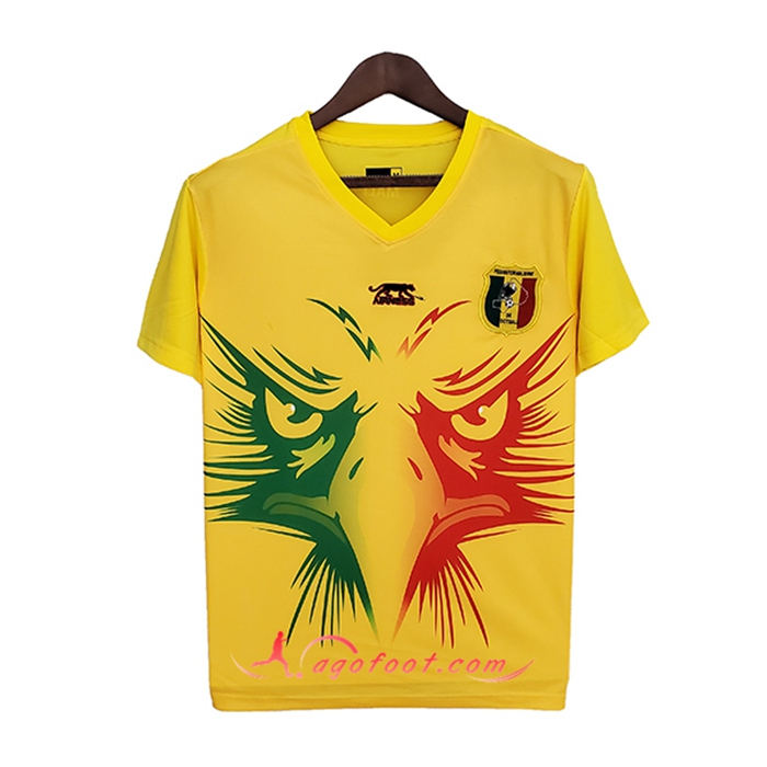 Maillot Equipe Foot Mali Special Edition 2022 -2