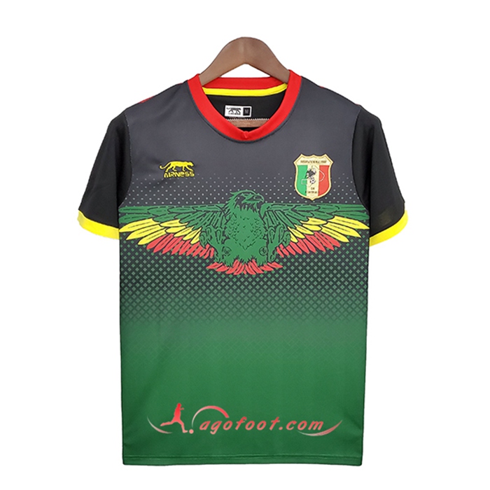 Maillot Equipe Foot Mali Domicile 2022