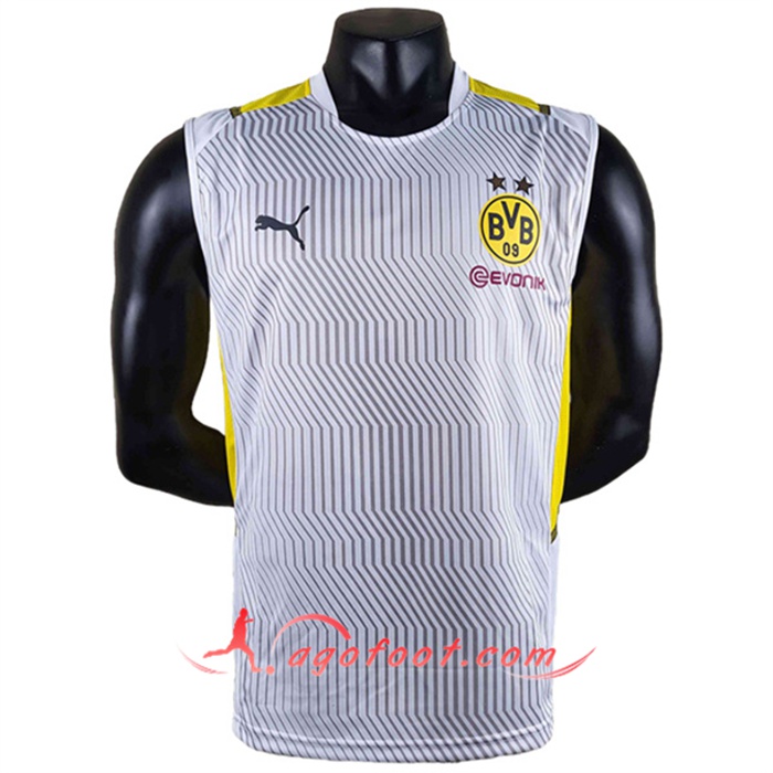 Training Sans Manches Dortmund Gris 2022/2023
