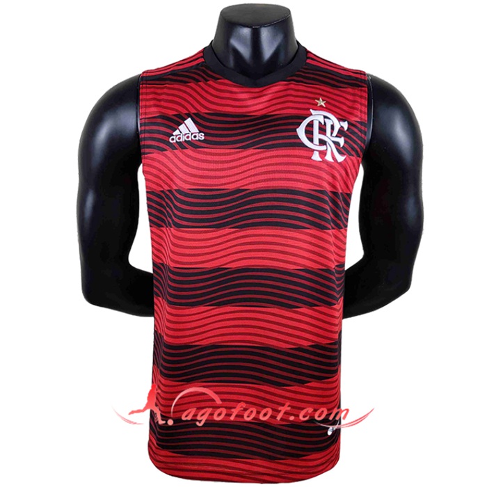 Maillot de Foot Flamengo Gilet 2022/2023