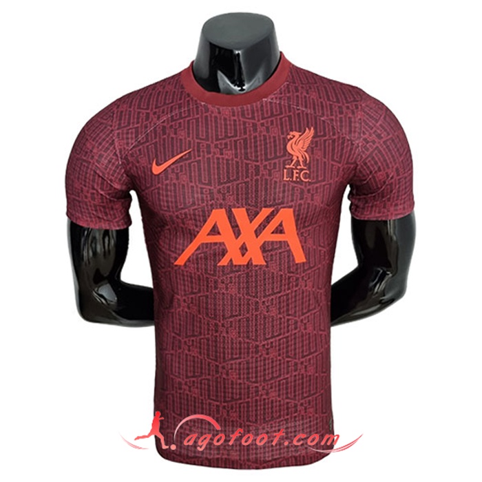 Training T-Shirts FC Liverpool Player Version Brun 2022/2023