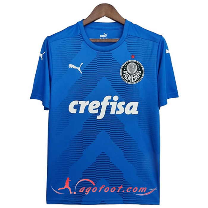 Maillot de Foot Palmeiras Gardien de But Bleu 2022/2023