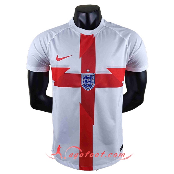 Training T-Shirts Angleterre Blanc 2022/2023