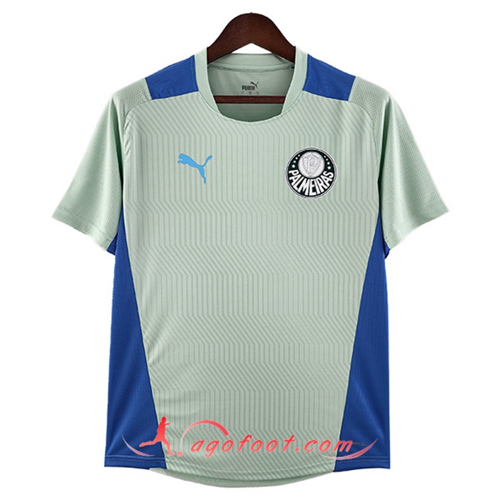 Training T-Shirts Palmeiras Vert 2022/2023