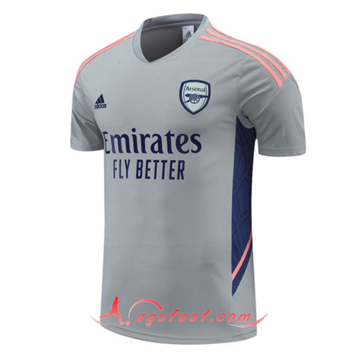 Training T-Shirts Arsenal Gris 2022/2023