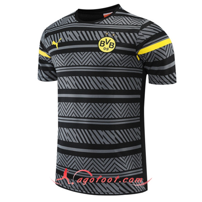 Training T-Shirts Dortmund BVB Gris 2022/2023