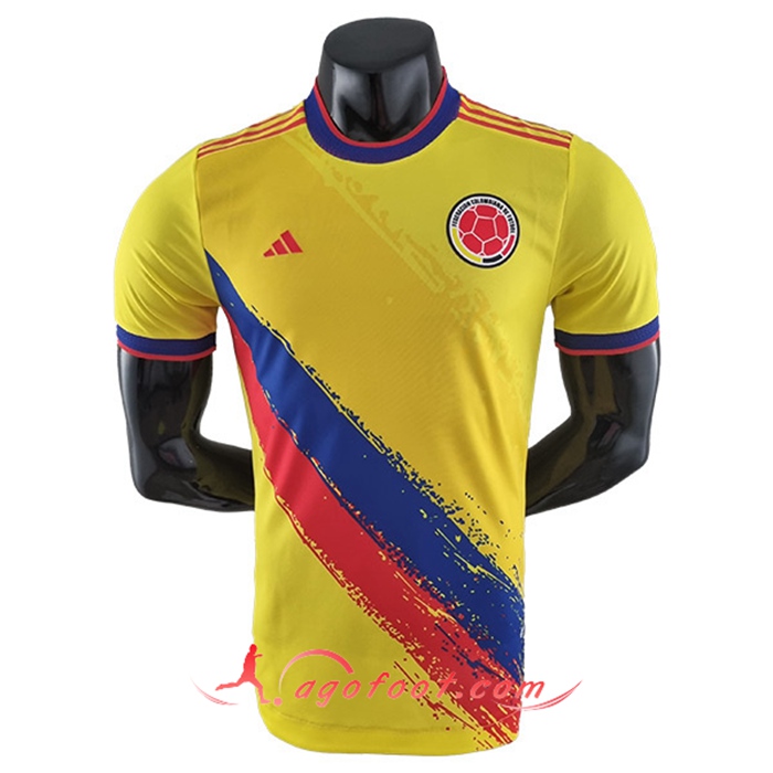 Maillot de Foot Colombie Special Edition Jaune Coupe du monde 2022