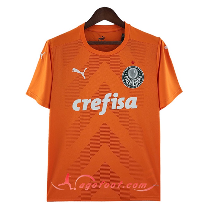 Maillot de Foot Palmeiras Gardien de But Orange 2022/2023