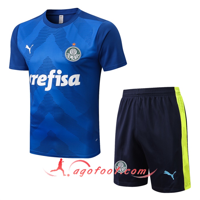 Ensemble Training T-Shirts + Shorts Palmeiras Bleu 2022/2023