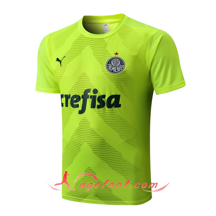 Training T-Shirts Palmeiras Vert 2022/2023