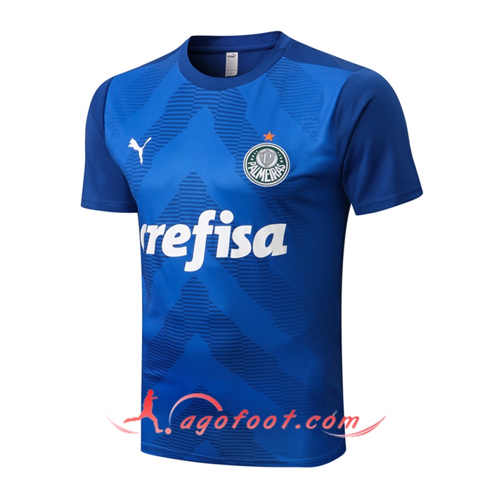 Training T-Shirts Palmeiras Bleu 2022/2023