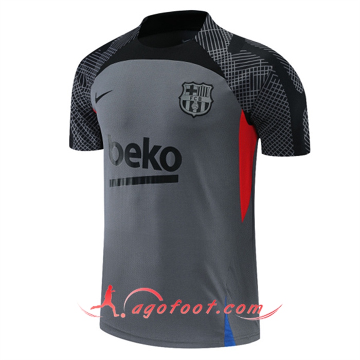 Training T-Shirts FC Barcelone Gris 2022/2023