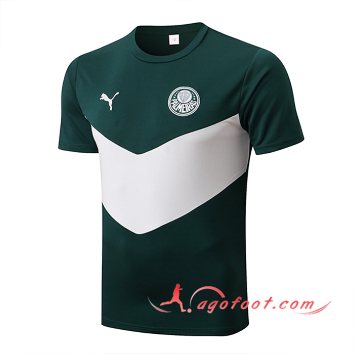 Training T-Shirts Palmeiras Vert/Blanc 2022/2023