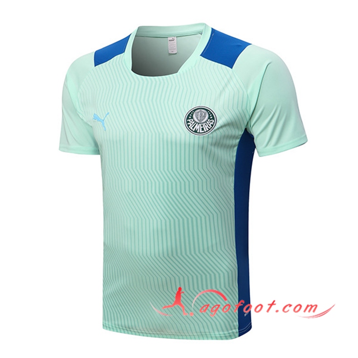 Training T-Shirts Palmeiras Vert 2022/2023