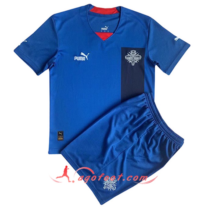 Maillot de Foot Islande Enfant Domicile 2022/2023
