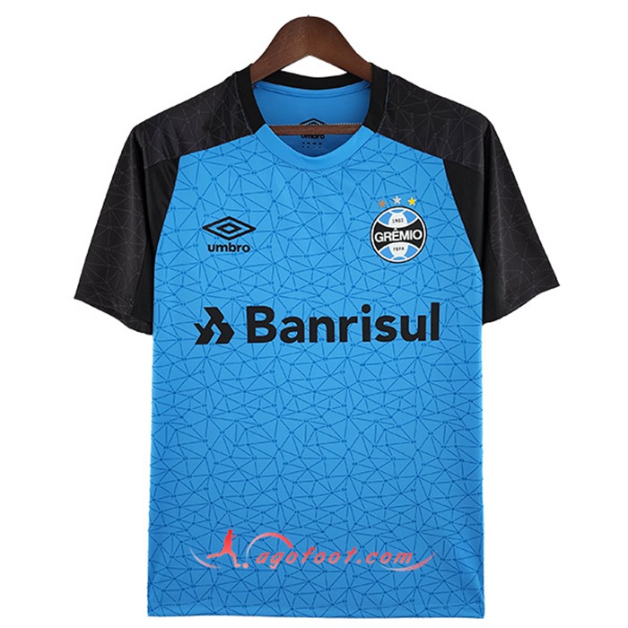 Training T-Shirts Guilde Bleu 2022/2023