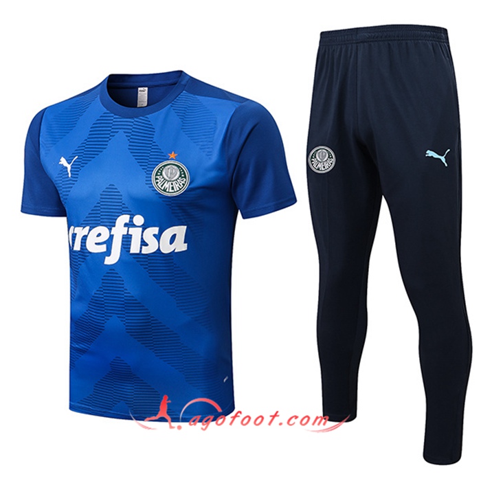 Ensemble Training T-Shirts + Pantalon Palmeiras Bleu 2022/2023