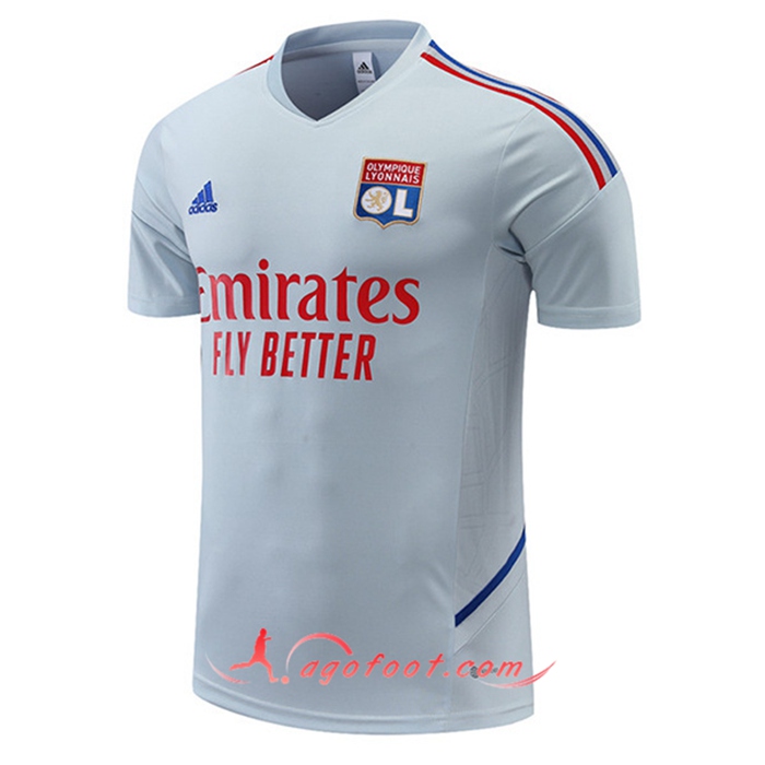 Training T-Shirts Lyon Gris 2022/2023