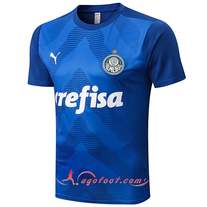 Training T-Shirts Palmeiras Bleu 2022/2023
