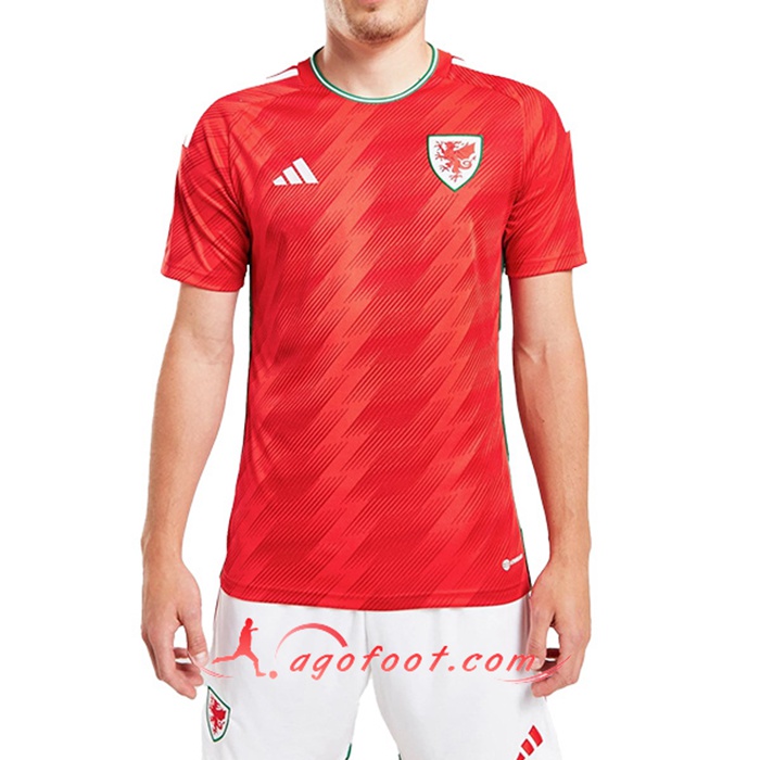 Nouveau Maillot Equipe Foot Pays de Galles Exterieur 2022/2023