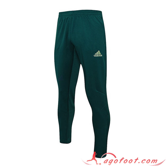 Pantalon Foot Palmeiras Vert 2022/2023