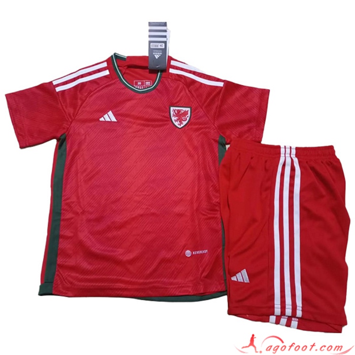 Nouveau Maillot de Foot Pays de Galles Domicile 2022/2023