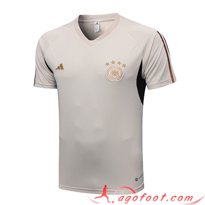 Training T-Shirts Allemagne Gris Clair 2023/2023