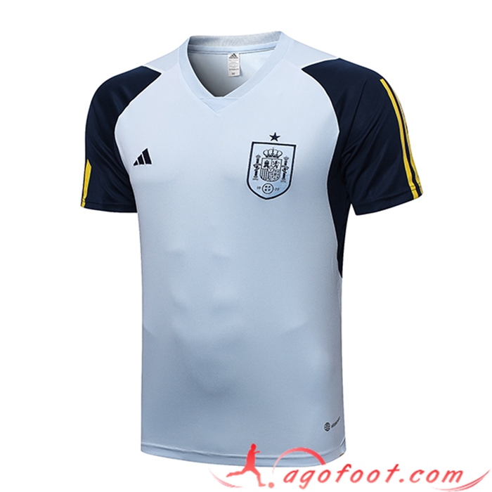 Training T-Shirts Espagne Bleu Clair 2023/2023