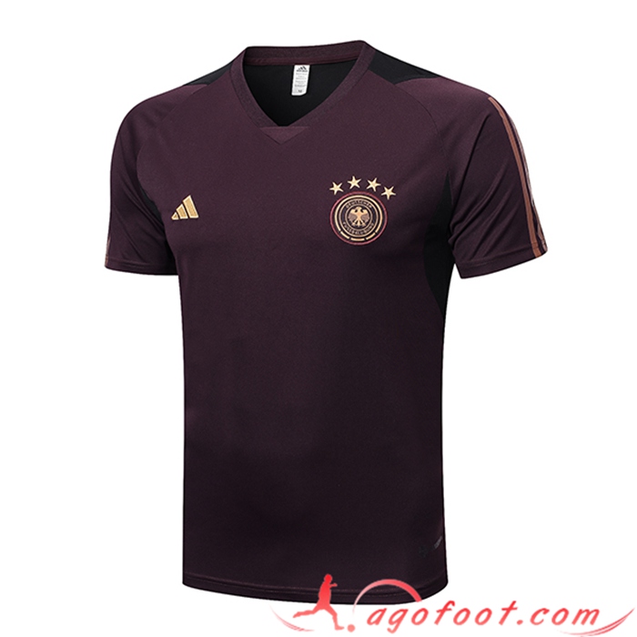 Training T-Shirts Allemagne Brune 2023/2023